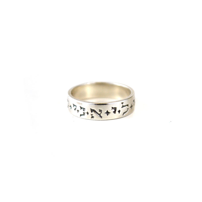 Ani Le Dodi Ring - The New York Public Library Shop