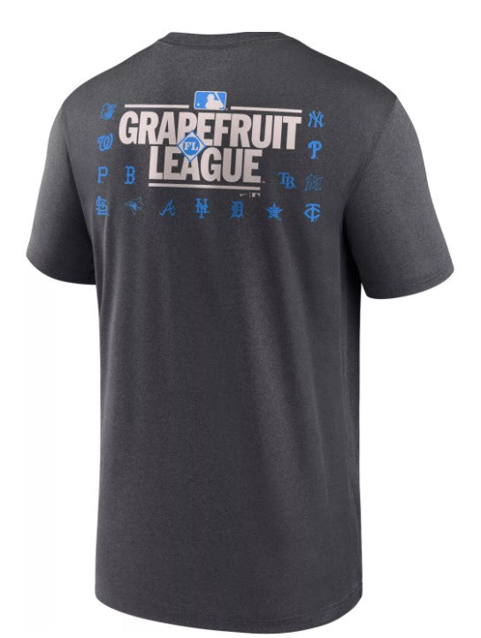 Rays Youth Nike Gray Grapefruit League Spring Training 2025 Legend T-Shirt