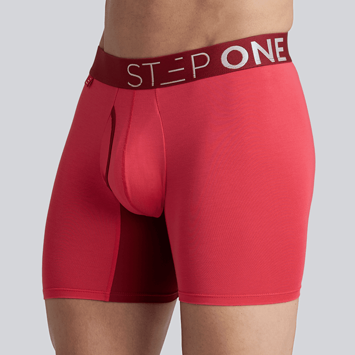 Boxer Brief Fly - Winter Berry - Bamboo Underwear