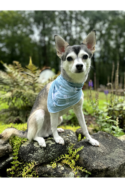 Custom St. Francis Pet Bandana