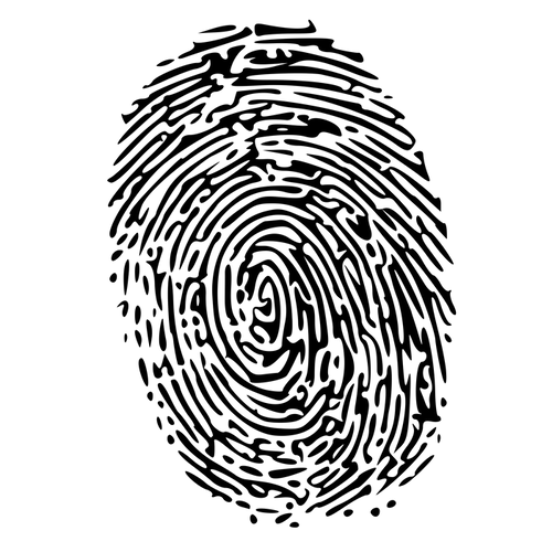 FBI Background Check