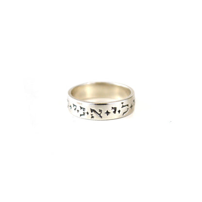Ani Le Dodi Ring - The New York Public Library Shop