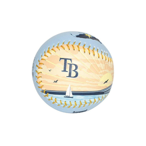 RAYS COLUMBIA BLUE STATE BASEBALL - The Bay Republic | Team Store of the Tampa Bay Rays & Rowdies