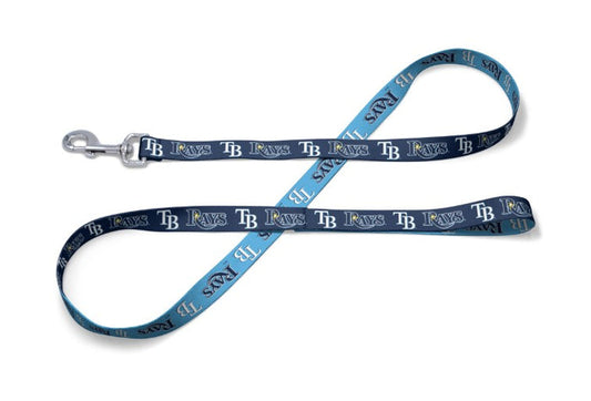 Rays Pets Big Dog Leash Blue