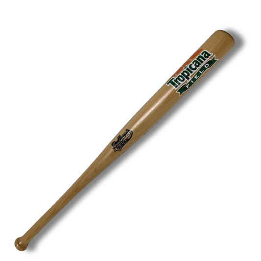 Rays Wooden Tropicana Field 18" Mini Bat