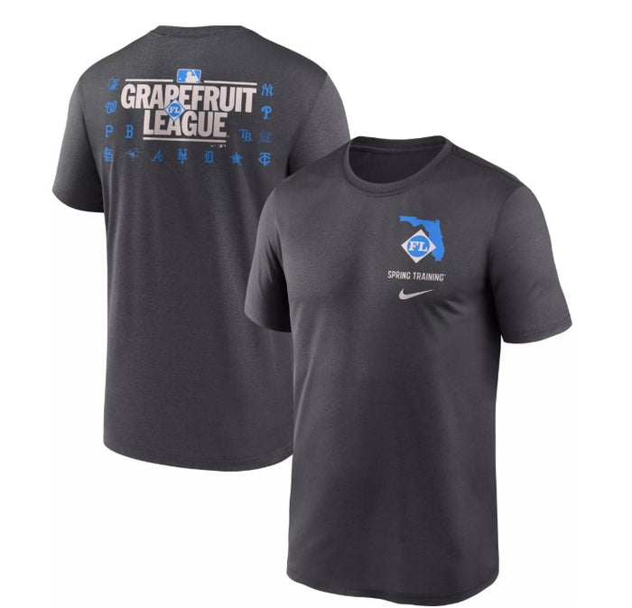 Rays Youth Nike Gray Grapefruit League Spring Training 2025 Legend T-Shirt