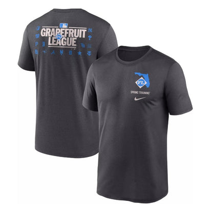 Rays Youth Nike Gray Grapefruit League Spring Training 2025 Legend T-Shirt