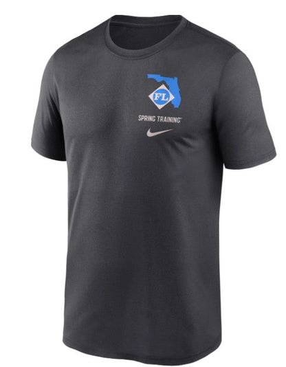 Rays Youth Nike Gray Grapefruit League Spring Training 2025 Legend T-Shirt