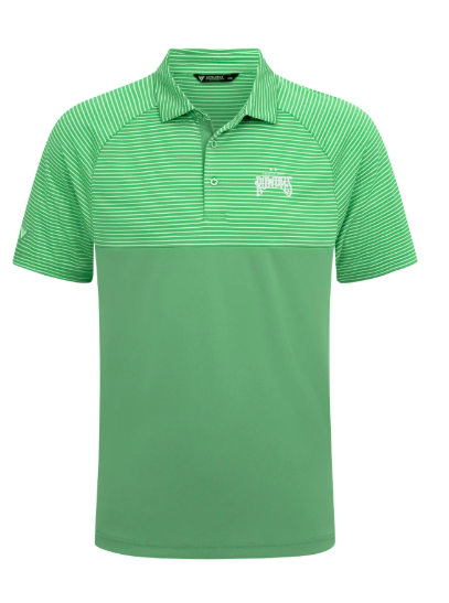 Rowdies Men's Levelwear Kelly Green Stripped Two Star Polo